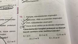 -?
C) II ve III
E) IIlve IV
driler prokaryotlar-
plastlar prokaryot
k, hücre zarının
muştur.
müştür?
C) I ve II
karekök
Ototrof beslenme
13. I. Kamçılar, mikrotübüllerden oluşmuştur.
Il Ribozomlar, rRNA ve proteinden oluşmuştur.
Il DNA, nükleotitlerden oluşmuştur.
Hücre duvarı selüloz ya da kitinden oluşmuştur.
Yukarıdakilerden hangileri prokaryot ve ökaryot
hücreli canlıların ortak özelliklerindendir?
A) I ve II
D) I, II ve III
B) II ve III
C) III ve IV
E) I, III ve IV