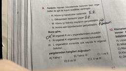 9. Aşağıda hayvan hücrelerinde bulunan bazı orga-
neller ile igili bir kısım özellikler verilmiştir.
K: Hücre içi kanalcıklar sistemidir..
L: Glikoprotein sentezini yapar...
M: Hücre içi hidroliz olaylarını gerçekleştirir. 2
-N: Amino asit özümlemesini gerçekleştirir. boom
Buna göre,
-
1
x
II. N organeli K organelinin zarında bulunabilir.
III. L organelinin sıvısında çok sayıda N organeli
bulunur.
yargılarından hangileri doğrudur?
A) Yalnız I
B) Yalnız III
M organeli K ve L organellerinden oluşabilir.
D) II ve III
C) I ve II
E) I, II ve III
12. Kloroplast
benzer b
bulunma
82
A) Lizoze
B) Mitok
C) Ribc
D) Klo
E) DN