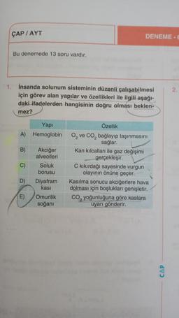 1.
ÇAP/AYT
Bu denemede 13 soru vardır.
İnsanda solunum sisteminin düzenli çalışabilmesi
için görev alan yapılar ve özellikleri ile ilgili aşağı-
daki ifadelerden hangisinin doğru olması beklen-
mez?
Yapı
A) Hemoglobin
B)
C)
D)
E)
Akciğer
alveolleri
Soluk
borusu
Diyafram
kası
Omurilik
soğanı
DENEME-6
Özellik
O₂ ve CO₂ bağlayıp taşınmasını
sağlar.
Kan kılcalları ile gaz değişimi
gerçekleşir.
C kıkırdağı sayesinde vurgun
olayının önüne geçer.
Kasılma sonucu akciğerlere hava
dolması için boşlukları genişletir.
CO₂ yoğunluğuna göre kaslara
uyarı gönderir.
CAP
2.