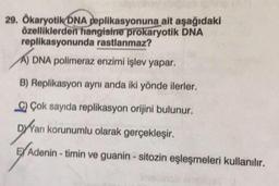 29. Ökaryotik DNA replikasyonuna ait aşağıdaki
özelliklerden hangisine prokaryotik DNA
replikasyonunda rastlanmaz?
A) DNA polimeraz enzimi işlev yapar.
B) Replikasyon aynı anda iki yönde ilerler.
C) Çok sayıda replikasyon orijini bulunur.
DXYan
Darı korunumlu olarak gerçekleşir.
Adenin - timin ve guanin - sitozin eşleşmeleri kullanılır.