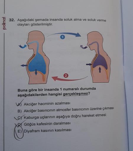 polimal
32. Aşağıdaki şemada insanda soluk alma ve soluk verme
olayları gösterilmiştir.
1
2
Buna göre bir insanda 1 numaralı durumda
aşağıdakilerden hangisi gerçekleşmez?
VASA
A)
Akciğer hacminin azalması
B) Akciğer basıncının atmosfer basıncının üzerine ç