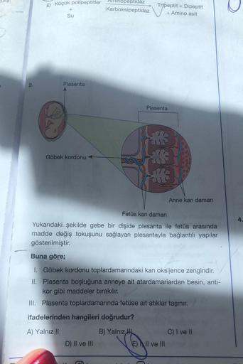 2.
E) Küçük polipeptitler
+
Su
Plasenta
9
Göbek kordonu
Inopeptidaz
Karboksipeptidaz
Tripeptit + Dipeptit
+ Amino asit
ifadelerinden hangileri doğrudur?
A) Yalnız II
B) Yalnız H
D) II ve III
Plasenta
Fetüs kan damarı
Yukarıdaki şekilde gebe bir dişide ples