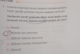 4. İnsanda dışarıdan alınan oksijenin hücrelere girişine
kadar geçtiği yerlerden bazıları aşağıda verilmiştir.
Verilenler kendi arasında ilkten sona doğru sıra-
lanacak olursa, üçüncü sırada hangisi yer alır?
A) Alveol
BBöbrek kan plazması
C) Böbrek dokusu ara sivisI
D) Böbrek hücresi sitoplazması
E) Alyuvar