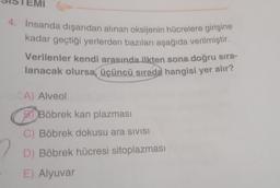 4. İnsanda dışarıdan alınan oksijenin hücrelere girişine
kadar geçtiği yerlerden bazıları aşağıda verilmiştir.
Verilenler kendi arasında ilkten sona doğru sıra-
lanacak olursa, üçüncü sırada hangisi yer alır?
A) Alveol
BBöbrek kan plazması
C) Böbrek dokusu ara sivisI
D) Böbrek hücresi sitoplazması
E) Alyuvar