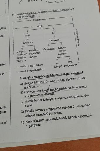 gileri
e III.
gileri
e IV
ngile-
ğılımı
mız IV
12. Aşağıdaki şemada dişi üreme sisteminin hormonal kont-
rolü gösterilmiştir.
FSH
Ovaryum
Wa
Hipotalamus
Hipofiz
Gelişen
-folikülden oogenezin
östrojen
devamı
salınımı
+ geri bildirim
4:- geri bildirim
LH
Ovu