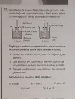 29. Sükroz oran % 5 olan çözelti, içerisinde cam boru bulu-
nan bir bağırsak parçasına konuyor. Daha sonra, saf su
bulunan aşağıdaki deney düzeneğine yerleştiriliyor.
C
C
Cam boru
Martar tipa
N5 k súkroz
plasti
Bagsak
parças
sat su
1 dum
Sve yüksek
1. durun
Başlangıçta su bulunmayan cam boruda, zamanla su
miktarının yükselip sonra sabit kalması olayında;
D) I ve II
Denty
kabi
L. deney kabindaki saf suyun, ozmozia bağırsak içine
geçmesi,
IL Cam borunun siv sütunundaki basincin, zamanla ge-
ker çözeltisinin ozmatik basıncına eşit hale gelmesi
I. Bağırsak içindeki şeker moleküllerinin, deney kabina
geçememesi
faktörlerinden hangileri etkili olmuştur?
A) Yalnızl
B) Yalnız il
E) I, II vo 1
C) Vainz III