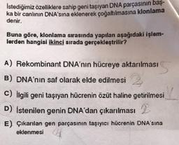 İstediğimiz özelliklere sahip geni taşıyan DNA parçasının baş-
ka bir canlının DNA'sına eklenerek çoğaltılmasına klonlama
denir.
Buna göre, klonlama sırasında yapılan aşağıdaki işlem-
lerden hangisi ikinci sırada gerçekleştrilir?
A) Rekombinant DNA'nın hücreye aktarılması
B) DNA'nin saf olarak elde edilmesi 2
C)
İlgili geni taşıyan hücrenin özüt haline getirilmesi
D) İstenilen genin DNA'dan çıkarılması 2
E) Çıkarılan gen parçasının taşıyıcı hücrenin DNA'sına
eklenmesi