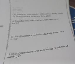 eki;
ww
-www.ortaokulmatematik.org
ÖRNEK:
Çiftçi Mehmet bahçesinden 500 kg elma, 400 kg armut
ve 250 kg portakal toplamıştır. Buna göre;
a) Topladığı elma miktarının armut miktanna oranı
kaçtır?
b) Topladığı portakal miktarının elma miktarına oranı
kaçtır?
c) Topladığı armut miktarının toplam meyve miktarına
oranı kaçtır?