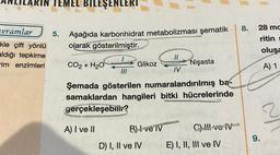 vramlar
kle çift yönlü
aldığı tepkime
im enzimleri
TEMEL BILEŞENLERI
5. Aşağıda karbonhidrat metabolizması şematik
olarak gösterilmiştir.
CO2 + H2O
aprieIV
Şemada gösterilen numaralandırılmış ba-
samaklardan hangileri bitki hücrelerinde
gerçekleşebilir?
A) I ve II
Glikoz
B) ve IV
D) I, II ve IV
11
Nişasta
C) !!! ve IV
E) I, II, III ve IV
8.
28 mc
ritin s
oluşa
A) 1
9.