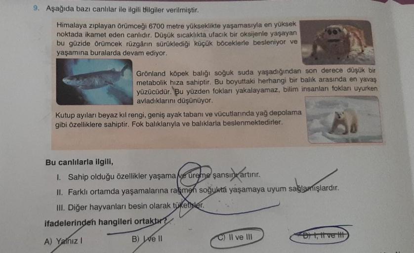 9. Aşağıda bazı canlılar ile ilgili bilgiler verilmiştir.
Himalaya zıplayan örümceği 6700 metre yükseklikte yaşamasıyla en yüksek
noktada ikamet eden canlıdır. Düşük sıcaklıkta ufacık bir oksijenle yaşayan
bu güzide örümcek rüzgârın sürüklediği küçük böcek