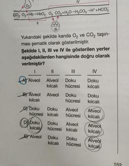 CO₂ O₂+Hb+HbO₂, O₂ CO₂+H₂O H₂CO3+H+ + HCO3
||
III
B) Alveol
kılcalı
Yukarıdaki şekilde kanda O₂ ve CO₂ taşın-
ması şematik olarak gösterilmiştir.
Şekilde I, II, III ve IV ile gösterilen yerler
aşağıdakilerden hangisinde doğru olarak
verilmiştir?
1
A Alveol
||
Alveol
kılcalı
Alveol
IV
Doku Doku
hücresi kılcalı
Doku
kılcalı
|||
Doku
hücresi
Doku
hücresi
Alveol
hücresi
D) Doku Doku Alveol
kılcalı
hücresi
kılcalı
Alveol
Doku
hücresi
IV
Doku
kılcalı
Doku
kılcalı
Alveol
kılcalı
Alveol
kılcaly
Alveol
kılcal
152