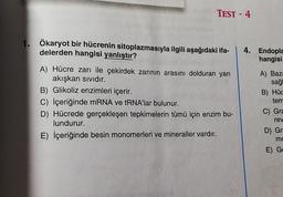 TEST - 4
1. Ökaryot bir hücrenin sitoplazmasıyla ilgili aşağıdaki ifa-
delerden hangisi yanlıştır?
A) Hücre zarı ile çekirdek zarının arasını dolduran yarı
akışkan sıvıdır.
B) Glikoliz enzimleri içerir.
C) İçeriğinde mRNA ve tRNA'lar bulunur.
D) Hücrede gerçekleşen tepkimelerin tümü için enzim bu-
lundurur.
E) İçeriğinde besin monomerleri ve mineraller vardır.
4. Endopla
hangisi
A) Bazı
sağ
B) Hüc
tem
C) Gra
rev
D) Gr
mc
E) Go