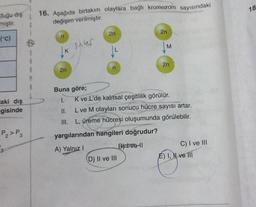 duğu dış
miştir.
(°C)
aki dış
gisinde
P₂>P3
G
16. Aşağıda birtakım olaylara bağlı kromozom sayısındaki
değişim verilmiştir.
n
2n
inter
2n
2n
(D) II ve III
M
Buna göre;
I.
II.
L ve M olayları sonucu hücre sayısı artar.
III. L, üreme hücreşi oluşumunda görülebilir.
yargılarından hangileri doğrudur?
A) Yalnız I
B) Ivell
2n
K ve L'de kalıtsal çeşitlilik görülür.
C) I ve III
É) I, N ve III
18