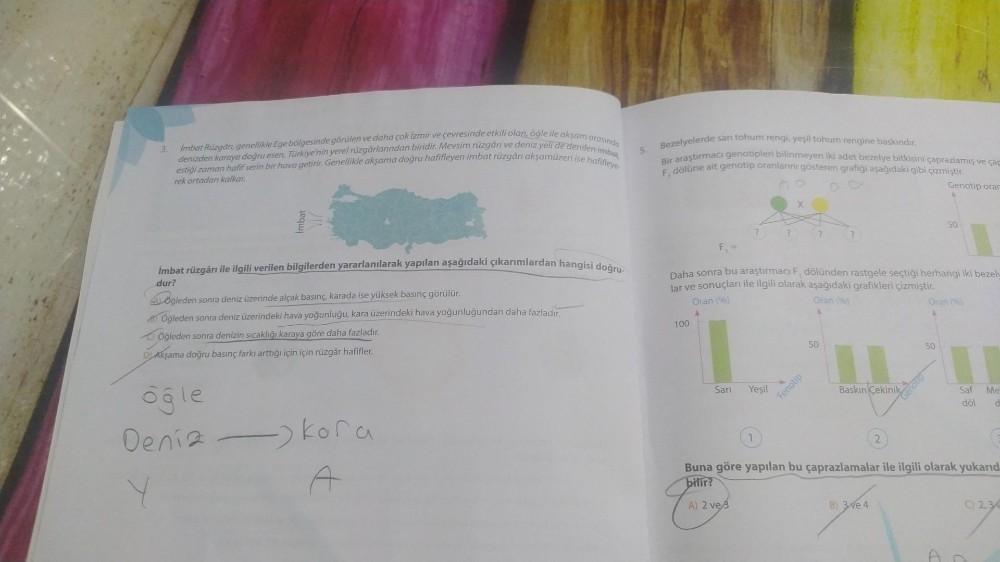 3.
Imbat Rüzgâri, genellikle Ege bölgesinde görülen ve daha çok İzmir ve çevresinde etkili olan, öğle ile akşam arasında
denizden karaya doğru esen, Türkiye'nin yerel rüzgârlarından biridir. Mevsim rüzgârı ve deniz yeli de denilen imbat,
estiği zaman hafif