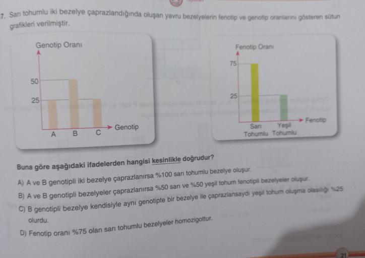 7. Sanı tohumlu iki bezelye çaprazlandığında oluşan yavru bezelyelerin fenotip ve genotip oranlarını gösteren sütun
grafikleri verilmiştir.
Genotip Oranı
50
25
A B C
Genotip
Fenotip Orani
75
25
Sarı Yeşil
Tohumlu Tohumlu
Fenotip
Buna göre aşağıdaki ifadele