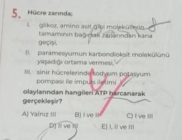 5. Hücre zarında;
1.
glikoz, amino asit gibi moleküllerin
tamamının bağırsak
bağırsak
zárlarından kana
geçişi,
II. paramesyumun karbondioksit molekülünü
yaşadığı ortama vermesi,
III. sinir hücrelerinde sodyum potasyum
pompası ile impuls iletimi
olaylarından hangileri ATP harcanarak
gerçekleşir?
A) Yalnız III
B) I ve II
D) II ve NI
C) I ve III
E) I, II ve III