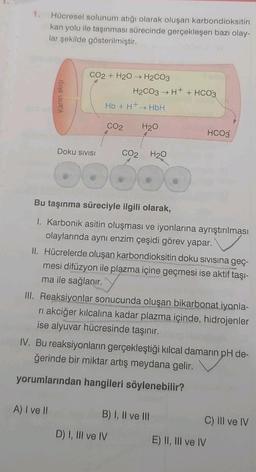 1. Hücresel solunum atığı olarak oluşan karbondioksitin
kan yolu ile taşınması sürecinde gerçekleşen bazı olay-
lar şekilde gösterilmiştir.
Kanın akışı
CO2 + H2O → H₂CO3
Doku SIVISI
A) I ve II
Hb + H+→ HbH
H₂CO3 → H+ + HCO3
CO2
CO2
0.000
H₂O
Bu taşınma süreciyle ilgili olarak,
1. Karbonik asitin oluşması ve iyonlarına ayrıştırılması
olaylarında aynı enzim çeşidi görev yapar.
H₂O
II. Hücrelerde oluşan karbondioksitin doku sıvısına geç-
mesi difüzyon ile plazma içine geçmesi ise aktif taşı-
ma ile sağlanır.
D) I, III ve IV
III. Reaksiyonlar sonucunda oluşan bikarbonat iyonla-
ri akciğer kılcalına kadar plazma içinde, hidrojenler
ise alyuvar hücresinde taşınır.
HCO3
IV. Bu reaksiyonların gerçekleştiği kılcal damarın pH de-
ğerinde bir miktar artış meydana gelir.
yorumlarından hangileri söylenebilir?
B) I, II ve III
C) III ve IV
E) II, III ve IV