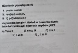 Hücrelerde gerçekleşebilen;
I. protein sentezi,
II. oksijenli solunum,
III. iğ İpliği düzenleme
olaylarından hangileri bitkisel ve hayvansal hücre-
lerde her zaman ayni organelde meydana gellr?
A) Yalnız 1
D) JI và III
B) Yalnız III
G) I ve II
E) I, II vă III