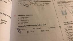 ve IV
II ve III
bir olay verilmiş
Sindirim
kofulu
3.
olaylarından hangileri cansız ortamda gerçekleşebilir?
A) Kalnız i
BAYalnız II
C) Yalnız
D) Ave II
E) I, II v
Ekzositoz olayında;
golgi aygıtı,
1.
I.
II. sentrozom,
III. kloroplast
organellerinden hangileri görev alır?
A Yalnız I
B) Yalnız II
D) I ve II
C) Yalnız III
E) I, II ve III
1,2 ve 3 ozallerine birakarak ma
lanıncaya kadar bekleniyor.
Mücrelerin sidig son durumlar ge
Buna göre; 1, 2 v
eşleştirilmiştir?
1
1. çözelti
Izotonik
B) Hipertor
C) Hipots
D Izot