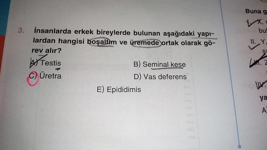 3.
insanlarda erkek bireylerde bulunan aşağıdaki yapı-
lardan hangisi boşaltim ve üremede ortak olarak gö-
rev alır?
Testis
C) Üretra
B) Seminal kese
D) Vas deferens
E) Epididimis
Buna g
X, c
bul
II. Y,
IV.
ya
A