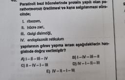 Paratirolt bezi hücrelerinde protein yapılı olan pa-
rathormonun Oretilmesi ve kana salgılanması süre-
cinde;
1. ribozom,
II. hücre zari,
Ill. Golgi cisimciği,
IV. endoplazmik retikulum
yapılarının görev yapma sırası aşağıdakilerin han-
gisinde doğru verlimiştir?
A) I-11-III-IV
C) 11-IV-1-III
B) 1-IV-11-11
D) IV-1-11-III
E) JV-II-1-1.
g