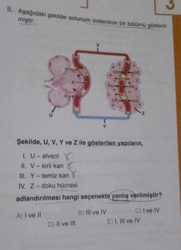 8. Aşağıdaki şekilde solunum sisteminin bir bölümü gösteril-
miştir.
U
CO
D) II ve III
co
Şekilde, U, V, Y ve Z ile gösterilen yapıların,
1. U- alveol Y
II. V-kirli kan
III. Y-temiz kan
IV. Z-doku hücresi
adlandırılması hangi seçenekte yanlış verilmiştir?
