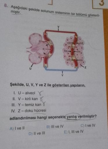 8. Aşağıdaki şekilde solunum sisteminin bir bölümü gösteril-
miştir.
U
CO
D) II ve III
co
Şekilde, U, V, Y ve Z ile gösterilen yapıların,
1. U- alveol Y
II. V-kirli kan
III. Y-temiz kan
IV. Z-doku hücresi
adlandırılması hangi seçenekte yanlış verilmiştir?
