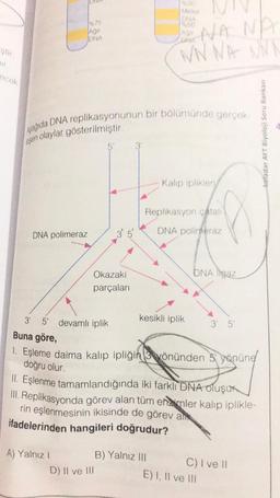 ştir.
mir
ecek
DNA polimeraz
%75
Ağır
DNA
Aşağıda DNA replikasyonunun bir bölümünde gerçek-
leşen olaylar gösterilmiştir.
5' 3'
3' 5' devamlı iplik
A) Yalnız I
Okazaki
parçaları
3' 5'
D) II ve III
Molez
DNA
NA NA
NN NA NNN
Kalip iplikleri
Replikasyon çatali
DNA polimeraz
kesikli iplik
B) Yalnız III
Buna göre,
1. Eşleme daima kalıp ipliğin 3 yönünden 5 yönüne
doğru olur.
DNA Igaz
II. Eşlenme tamamlandığında iki farklı DNA oluşur
III. Replikasyonda görev alan tüm enzimler kalıp iplikle-
rin eşlenmesinin ikisinde de görev alk
ifadelerinden hangileri doğrudur?
3' 5'
C) I ve Il
E) I, II ve III
kafadar AYT Biyoloji Soru Bankası