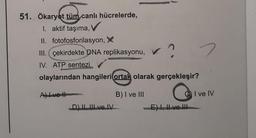 51. Ökaryot tüm canlı hücrelerde,
I. aktif taşıma, V
II. fotofosforilasyon, X
III. çekirdekte DNA replikasyonu, V
IV. ATP sentezi
olaylarından hangileri ortak olarak gerçekleşir?
C
Ave H
D) II, III ve IV
B) I ve III
n
E) I, II ve III
I ve IV