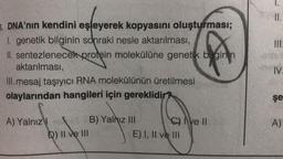 3. DNA'nın kendini eşleyerek kopyasını oluşturması;
1. genetik bilginin sonraki nesle aktarılması,
II. sentezlenecek protein molekülüne genetik bigin n
aktarılması,
III. mesaj taşıyıcı RNA molekülünün üretilmesi
olaylarından hangileri için gereklidir?
A) Yalnız
live
D) II ve III
B) Yalnız III
Cive II
E) I, II ve III
II.
III.
IV.
şe
A)