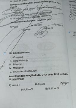 Glikoproteinlerin görev yapamaz hale gelmesi duru-
ci) olarak da
munda,
1. Hücrenin çeşitli yabancı maddelere karşı gösterdiği
tepki artar.
H. Hormonlara karşı duyarlık sağlanamaz
III. Hücreve alınacak moleküller tanınamaz.
değişmelerinden hangfleri meydana gelir?
A) Yalniz I
B) Yalnız II
D) ve Il
Bir bitki hücresinin;
1.-Kloroplast
II. Golgi cisimciği
III. Ribozom
IV. Mitokondri
V. Endoplazmik retikulum
A) Yalnız II
El ve Ill
D) I, II ve V
kısımlarından hangilerinde, DNA veya RNA molekü-
lü bulunmaz?
C) Yalnız III
vereb
B) II ve III
200
E) II, III ve IV
olaylardan
A) Aminc
B) Organ
C) Enzin
C) IT ye V
D) Orga
E) inge
8. Dört
ya a