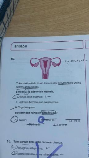 BİYOLOJİ
15.
Yukarıdaki şekilde, insan türünün dişi bireylerindeki üreme
sistemi gösterilmiştir.
Şekilde X ile gösterilen kısımda,
ikincil oosit oluşması,
II. östrojen hormonunun salgılanması,
. zigot oluşumu
olaylarından hangileri gerçekleşir?
A Yalnız I