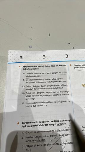 3
4.
3
3
3. Aşağıdakilerden hangisi fallopi tüpü ile uterusu
doğru karşılaştırır?
A) Döllenme uterusta, embriyonik gelişim fallopi tü-
pünde gerçekleşir.
B) Uterus; döllenmemiş yumurtayı fallopi tüpüne,
fallopi tüpü; döllenmemiş yumurtayı servikse taşır.
C