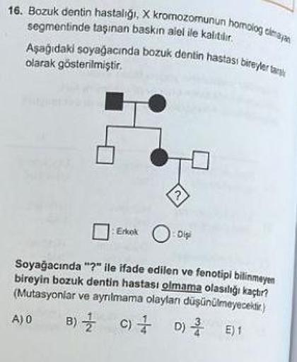 16. Bozuk dentin hastalığı, X kromozomunun homolog olmayan
segmentinde taşınan baskın alel ile kaltilir.
Aşağıdaki soyağacında bozuk dentin hastası bireyler tank
olarak gösterilmiştir.
?
Erkok : Digi
Soyağacında "?" ile ifade edilen ve fenotipi bilinmeyen