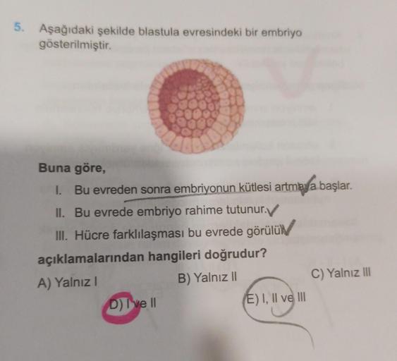 5. Aşağıdaki şekilde blastula evresindeki bir embriyo
gösterilmiştir.
Buna göre,
I. Bu evreden sonra embriyonun kütlesi artmaya başlar.
II. Bu evrede embriyo rahime tutunur.V
III. Hücre farklılaşması bu evrede görülü
açıklamalarından hangileri doğrudur?
A)