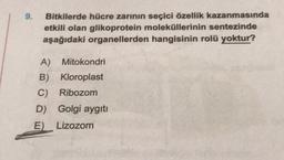 9.
Bitkilerde hücre zarının seçici özellik kazanmasında
etkili olan glikoprotein moleküllerinin sentezinde
aşağıdaki organellerden hangisinin rolü yoktur?
A) Mitokondri
B) Kloroplast
C) Ribozom
D) Golgi aygıtı
E) Lizozom