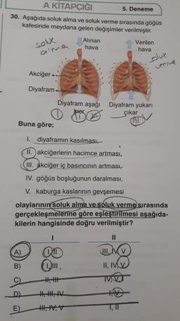 A KİTAPÇIĞI
30. Aşağıda soluk alma ve soluk verme sırasında göğüs
kafesinde meydana gelen değişimler verilmiştir.
Buna göre;
(A)
B)
solux
alma
de
Akciğer
Diyafram
E)
Diyafram aşağı
iner
PD
QI
H, H
Alınan
hava
I. diyaframın kasılması,
II.akciğerlerin hacimce artması,
III. akciğer iç basıncının artması,
IV. göğüs boşluğunun daralması,
V. kaburga kaslarının gevşemesi
olaylarının soluk alma ve soluk verme sırasında
gerçekleşmelerine göre eşleştirilmesi aşağıda-
kilerin hangisinde doğru verilmiştir?
H, H, IV
HI, IV, V
5. Deneme
Verilen
hava
oluk
Diyafram yukarı
çıkar
||
IIIVV
II, IVV