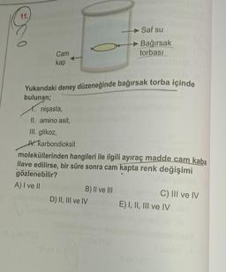 11.
0
Cam
kap
Yukarıdaki deney düzeneğinde bağırsak torba içinde
bulunan;
1. nişasta,
II. amino asit,
III. glikoz,
IV. karbondioksit
Saf su
Bağırsak
torbası
moleküllerinden hangileri ile ilgili ayıraç madde cam kaba
ilave edilirse, bir süre sonra cam kapta renk değişimi
gözlenebilir?
A) I ve II
B) II ve III
D) II, III ve IV
C) III ve IV
E) I, II, III ve IV