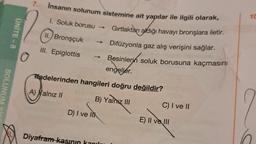 SOLUNU
ÜNİTE-8
O
7.
İnsanın solunum sistemine ait yapılar ile ilgili olarak,
Gırtlaktan aldığı havayı bronşlara iletir.
Difüzyonla gaz alış verişini sağlar.
Besinlerin soluk borusuna kaçmasını
engeller.
hangileri doğru değildir?
B) Yalnız III
1. Soluk borusu →
II. Bronşçuk
III. Epiglottis
Hadelerinden
A) Yalnız II
D) I ve Il
Diyafram-kasının kanılı
C) I ve II
E) II ve III
10