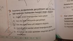 ol
İnsanların akciğerlerinde gerçekleşen gaz alış verişi
ilgili aşağıdaki ifadelerden hangisi doğru değildir?
A) Oksijen alveol boşluğundan kana geçer.
OL
B) Gaz alış verişi difüzyonla gerçekleşir.
Gaz alış verişi kanın pH değerini düşürür.
D) Karbondioksit kandan alveol boşluğuna geçer.
D₂
Day
6. E
7.B
5. B
E) Alveollerin tek sıralı epitelden oluşması gaz alış veriş
kolaylaştırır.
9. B
8. D
10. B 11. E 12. C
rine ilet
ifadelerind
A) Yalnız III
D
3. Kan plazm
aşağıdaki
hızlanmas
A) Beyincik
C) Hipotala