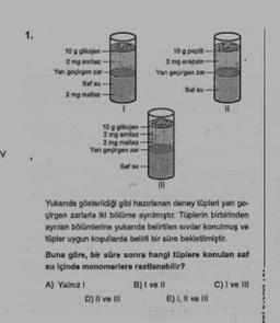 1.
10 g glikojen
2 mg amlaz
Yan geçirgen zar
Safeu
2 mg maltar-
10 g glikojen
2 mg amlaz
2 mg maltaz
Yan geçirgen zar
10 g pepat-
2
mg erepsin-
Yan geçirgen za
Saf su
|||
Yukanda gösterildiği gibi hazırlanan deney tüpleri yan go-
çirgan zarlarla iki bölüme ayrılmıştır. Tüplerin birbirinden
aynlan bölümlerine yukarıda belirtilen sivilar konulmuş ve
tüpler uygun koşullarda belirli bir süre bekletilmiştir.
Buna göre, bir süre sonra hangi tüplere konulan saf
su içinde monomerlere rastlanabilir?
A) Yalnız!
B) I ve II
D) Il ve Ill
E) I, II ve Ill
C) I ve III
IREATA pas