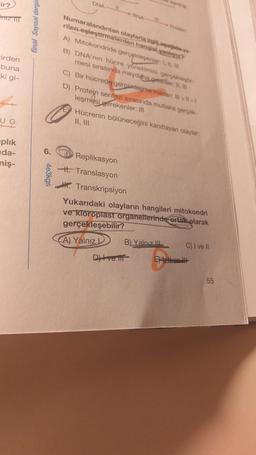ir?
mtz III
cirden
buna
ki gi-
UG
plik
da-
miş-
final Sayısal dergis
4e3kgs
DNA
Numaralandırılan olaylarla ilgilaagude ve-
rilen eşleştirmelerden hangisi yanligt
A) Mitokondride gerçekleşenler: 1, 1,
B) DNA'nin hücre yönetimini gerçekleştir
mesi sırasında meydana gelenler: 1,
C) Bir hücrede gerçekleşme miktar: III>>1
D) Protein sentezi sırasında mutlaka gerçek-
leşmesi gerekenler: III
Hücrenin bölüneceğini kanıtlayan olaylar.
Replikasyon
H. Translasyon
PINA
Transkripsiyon
Yukarıdaki olayların hangileri mitokondri
ve kloroplast organellerinde ortak olarak
gerçekleşebilir?
A) Yalnız
B) Yalnız III
Dve lif
C) I ve II
Bellvell
55