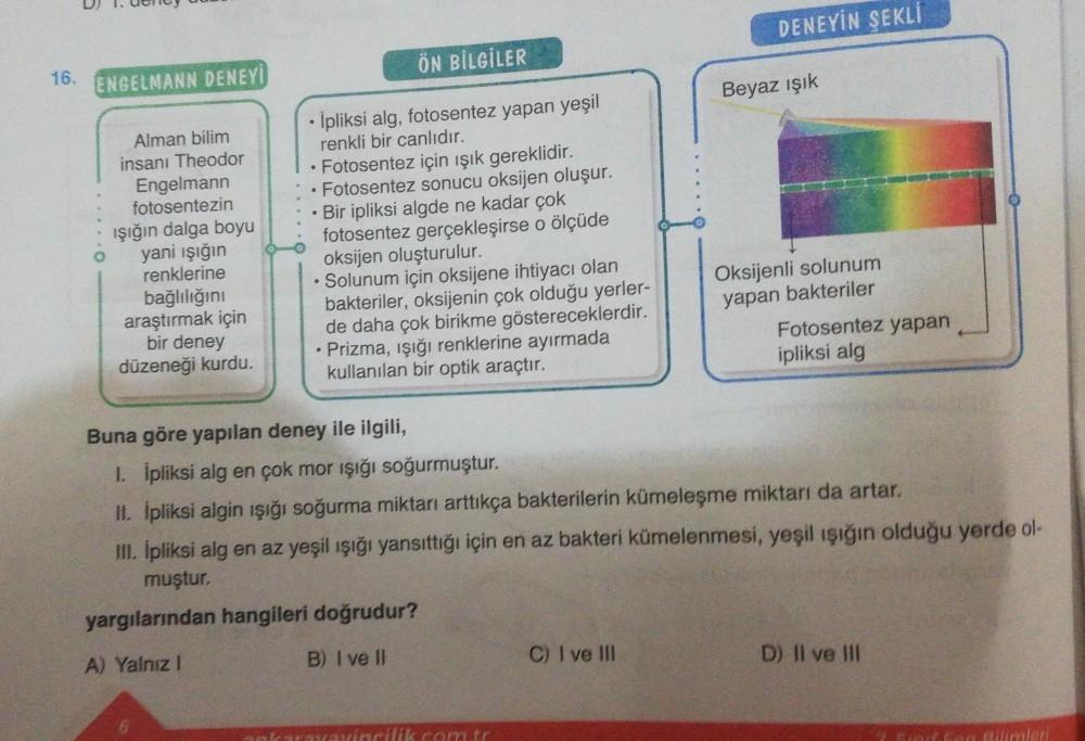 16.
ENGELMANN DENEYİ
Alman bilim
insani Theodor
Engelmann
fotosentezin
ışığın dalga boyu
yani ışığın
renklerine
bağlılığını
araştırmak için
bir deney
düzeneği kurdu.
ÖN BİLGİLER
• İpliksi alg, fotosentez yapan yeşil
renkli bir canlıdır.
Fotosentez için ışı