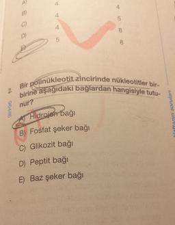 2.
964if6
A)
B)
C)
D)
4
4
5
Hidrojen bağı
B) Fosfat şeker bağı
C) Glikozit bağı
5
D) Peptit bağı
E) Baz şeker bağı
8
Bir polinukleotit zincirinde nükleotitler bir-
birine aşağıdaki bağlardan hangisiyle tutu-
nur?
8
Haftanın soruları