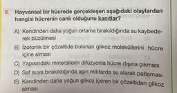 8. Hayvansal bir hücrede gerçekleşen aşağıdaki olaylardan
hangisi hücrenin canlı olduğunu kanıtlar?
A) Kendinden daha yoğun ortama bırakıldığında su kaybede-
rek büzülmesi
THA
B) İzotonik bir çözeltide bulunan glikoz moleküllerini hücre
içine alması
hoyund
soflebsla
C) Yapısındaki minerallerin difüzyonla hücre dışına çıkması
D) Saf suya bırakıldığında aşırı miktarda su alarak patlaması
E) Kendinden daha yoğun glikoz içeren bir çözeltiden glikoz
alması