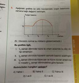 duru-
işim-
î
an
5.
Aşağıdaki grafikte bir bitki hücresindeki turgor basıncının
zamana bağlı değişimi verilmiştir.
Turgor basıncı
N
t₁
A) Yalnız I
t3
(N: Hücrenin normal su miktarını göstermektedir.)
Bu grafikle ilgili,
1. t₁ zaman diliminde hücre ile ortam arasında su alış ve-
rişi olmamıştır.
II.
to zaman diliminde hücrenin osmotik basıncı azalmıştır.
III.
t3 zaman diliminde hücre zarı ve hücre duvarı arasında-
ki mesafe to zaman dilimindekine göre fazladır.
ifadelerinden hangileri yanlıştır?
B) Yalnız II
D) I ve II
Zaman
C) Yalnız III
E) I ve III
BÖLÜM-2
Hücre Zarı ve Madde Geç