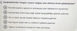 6. Aşağıdakilerden hangisi, insanın doğaya olan etkisine örnek gösterilemez?
A Kloroflorokarbon gazlarının artmasıyla ozon tabakasının seyrelmesi
Denizlerdeki kirlenmeye bağlı olarak biyoçeşitliliğin giderek azalması
C) Her yıl farklı sayıda tropikal siklonun meydana gelmesi
D Kişi başına düşen tatlı su miktarının giderek azalması
E Yağmur ormanlarının büyük bir hızla yok olması
B