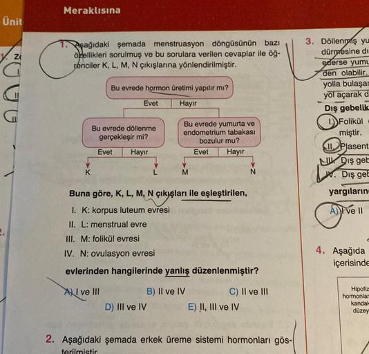 Ünit
y. Z
Meraklısına
Aşağıdaki şemada menstruasyon döngüsünün bazı
özellikleri sorulmuş ve bu sorulara verilen cevaplar ile öğ-
renciler K, L, M, N çıkışlarına yönlendirilmiştir.
K
Bu evrede hormon üretimi yapılır mı?
Hayır
Evet
Bu evrede döllenme
gerçekl