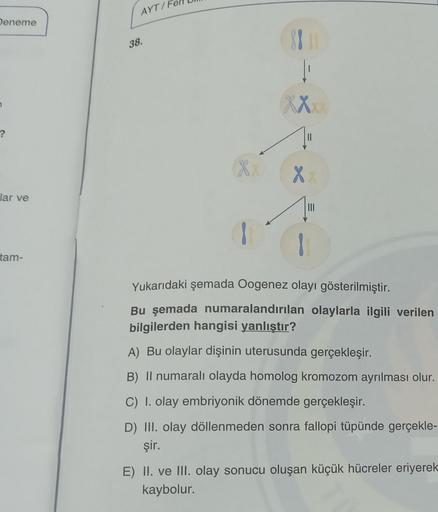 Deneme
?
lar ve
tam-
AYT/Fen
38.
11
[
XXX
X
|||
Yukarıdaki şemada Oogenez olayı gösterilmiştir.
Bu şemada numaralandırılan olaylarla ilgili verilen
bilgilerden hangisi yanlıştır?
A) Bu olaylar dişinin uterusunda gerçekleşir.
B) Il numaralı olayda homolog k