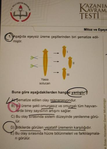 BAKANLIGI
Mitoz ve Eşeys
1. Aşağıda eşeysiz üreme çeşitlerinden biri şematize edil-
miştir.
Yassı
solucan
III
KAZANIA
AVRAMA
TESTİ
11
Buna göre aşağıdakilerden hangisi yanlıştır?)
sematize edilen olay rejenerasyondur.
B)Bu üreme şekli omurgasız ve omurgalı